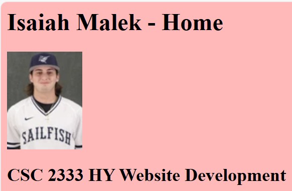 Portfolio Website Screenshot